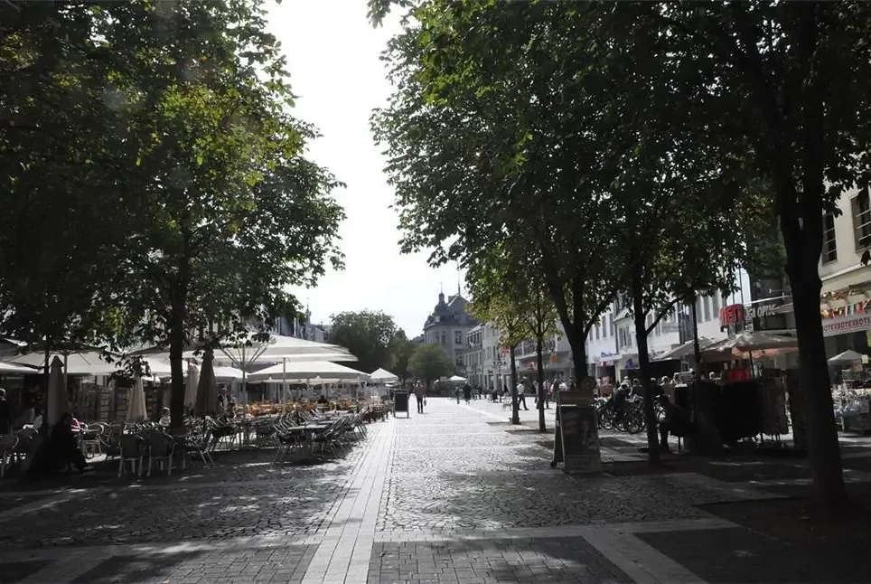 Vorschaubild für Brühler Baumbestand schützen