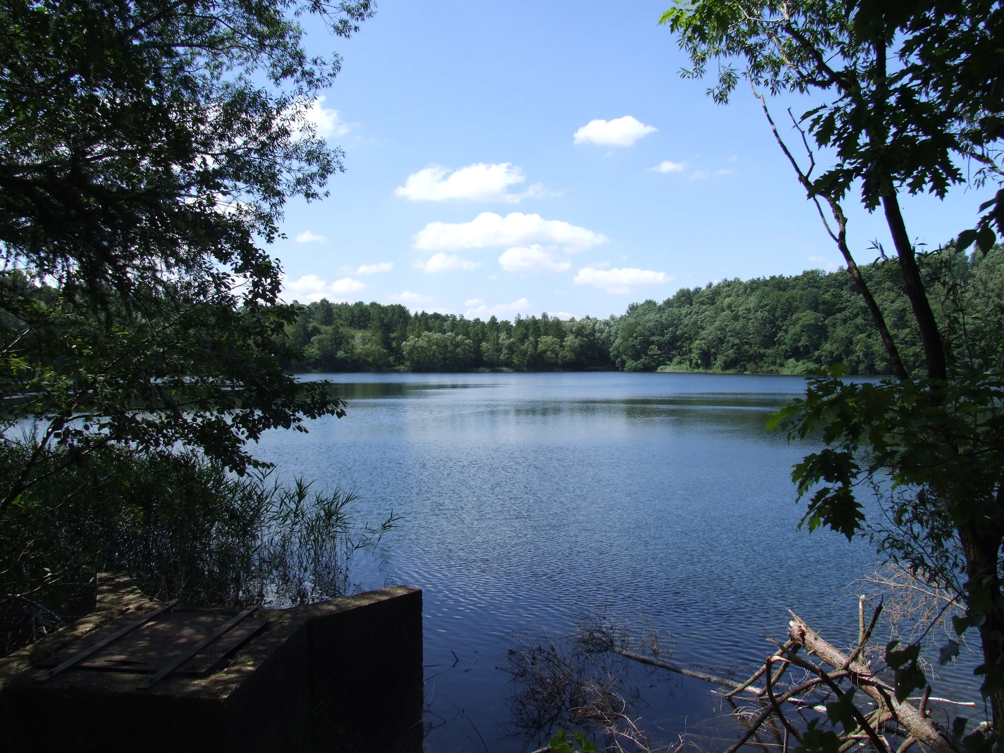 Klimabündnis Brühl
